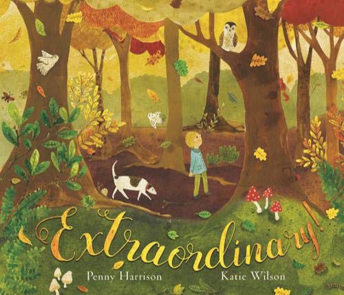 Boy and dog in a colorful forest, book cover titled "Extraordinary!".