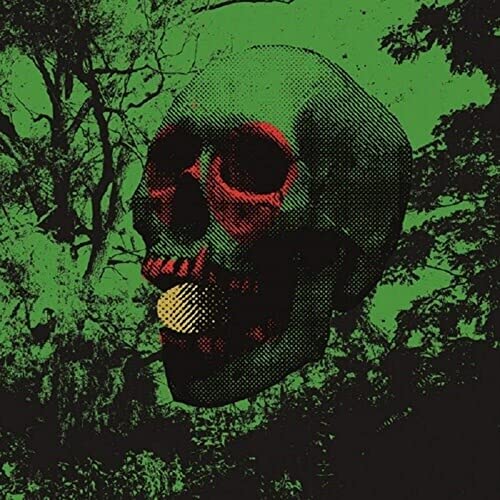 Brad Dwyer - Witch Egg [VINYL]
