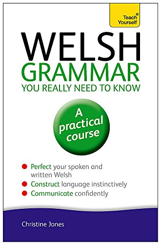 Welsh Grammar You Really Need to Know: Teach Yourself