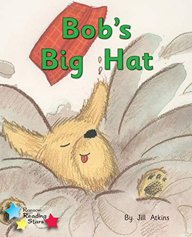 Bob's Big Hat (Reading Stars Phonics)