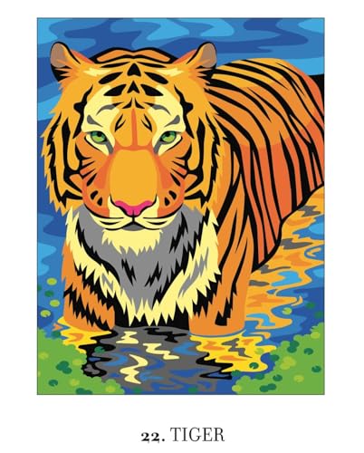 Mystery Coloring Wild Animals : Solve the Riddle and Color by Numbers to Reveal the Picture