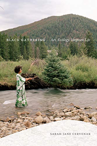 Black Gathering: Art
