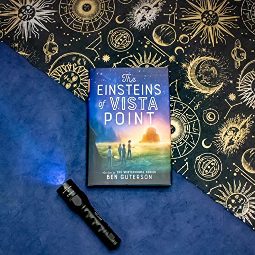 The Einsteins of Vista Point