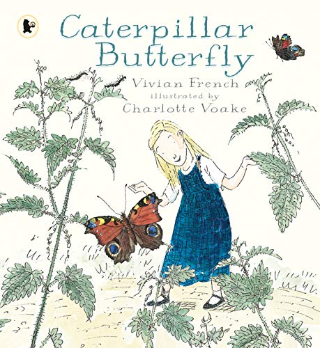 Caterpillar Butterfly: 1 (Our Stories)