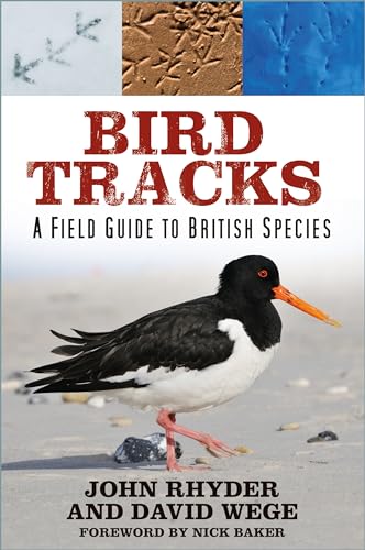 Bird Tracks : A Field Guide to British Species