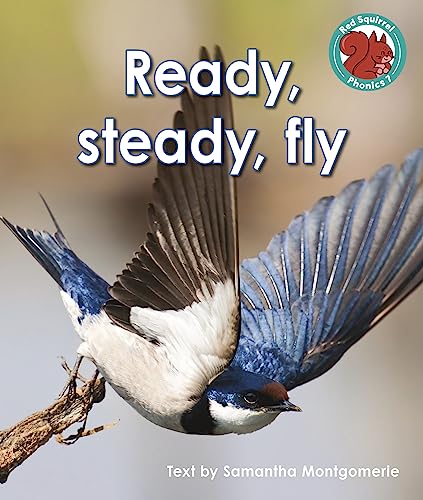 Ready, steady, fly (Red Squirrel Phonics Level 7 Set 2b)