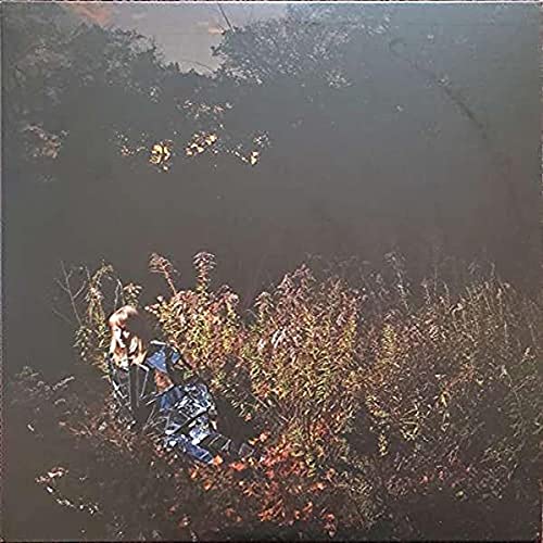 Dark album cover with blurred foliage and a fragmented figure.