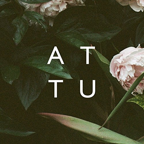 Attu - We Are Ordinary People [CD]