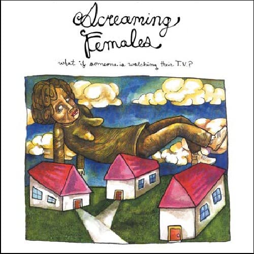 Screaming Females - What If Someone Is Watching Their TV? [CD]