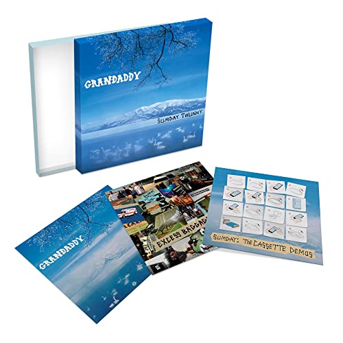 Grandaddy - Sumday Twunny [VINYL]