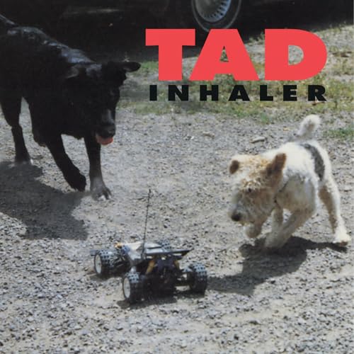Tad / Inhaler (1LP Black) [VINYL]