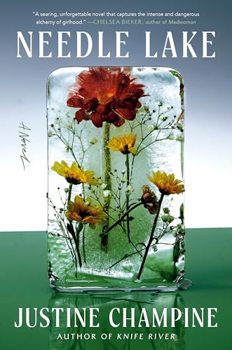 Needle Lake : A Novel