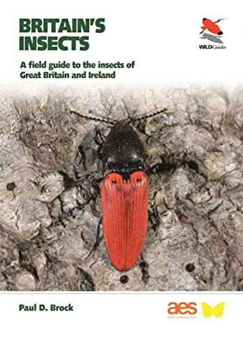 Britain's Insects (WILDGuides): A Field Guide to the Insects of Great Britain and Ireland (WILDGuides, 23)