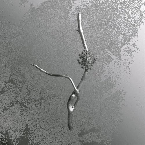 Gaia Banfi - La Maccaia - La Maccaia [VINYL]