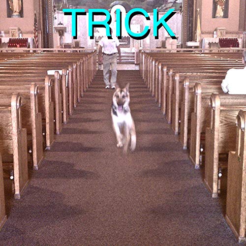 Alex G! - TRICK [CD]