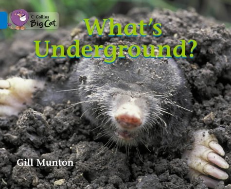 What’s Underground: This book reveals the amazing things that happen underground. (Collins Big Cat): Band 04/Blue