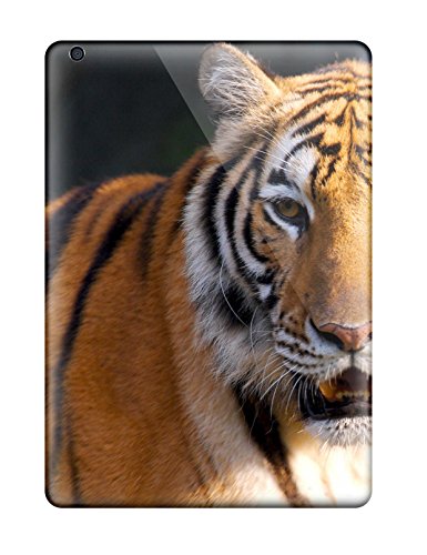 Tablet displaying a close-up portrait of a tiger’s face.