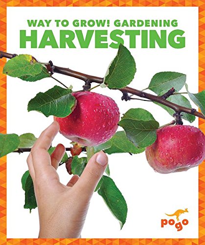 Harvesting (Way to Grow! Gardening)