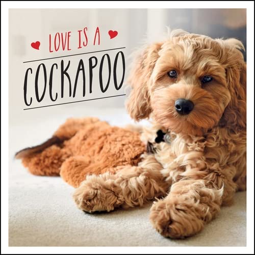 Love is a Cockapoo: A Dog-Tastic Celebration of the World's Cutest Breed