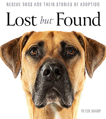 Lost but Found