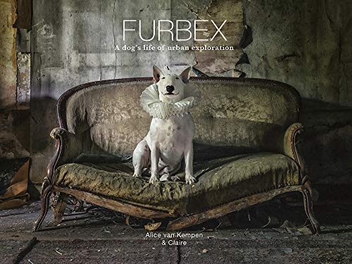 Furbex: A Dog s Life of Urban Exploration