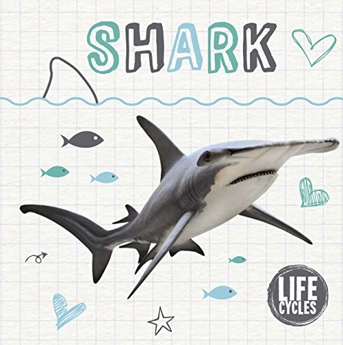 Life cycle of a shark (Life Cycles)
