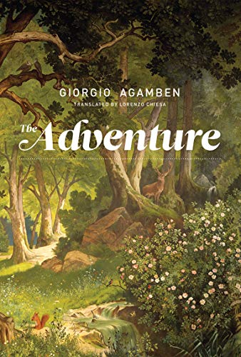 The Adventure (The MIT Press)