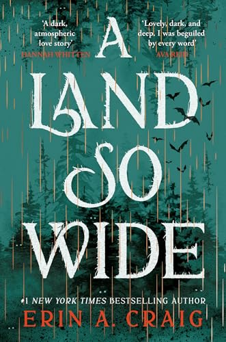 A Land So Wide : A breathtaking, deliciously dark fairy tale from #1 New York Times and USA Today bestselling author Erin A. Craig
