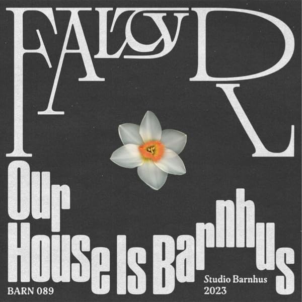 Various - Our House Is Barnhus [VINYL]