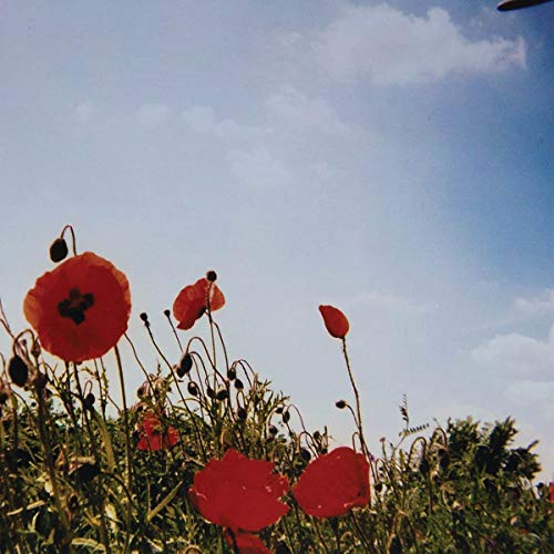 Fluisteraars - Bloem [CD]
