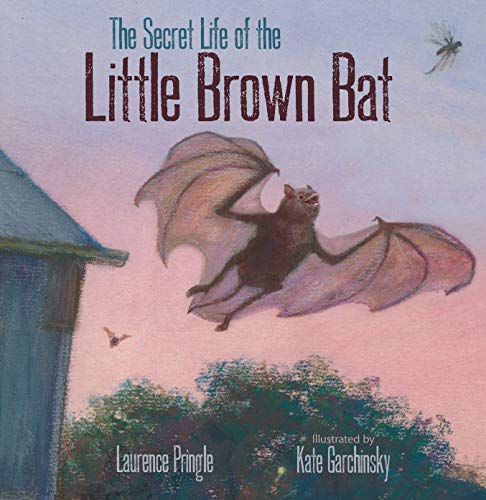 The Secret Life of the Little Brown Bat (The Secret Life)