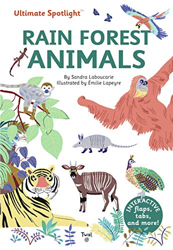 Ultimate Spotlight: Rain Forest Animals