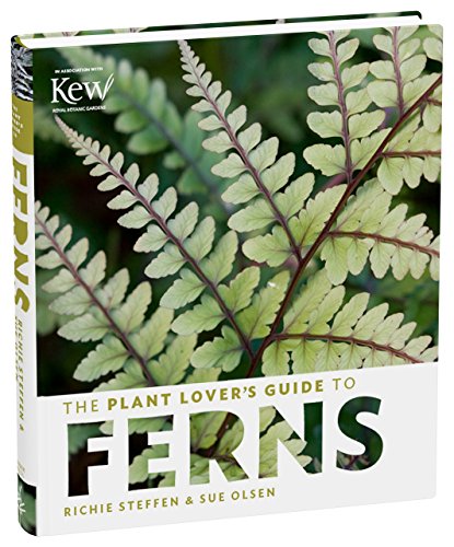 Plant Lover's Guide to Ferns (Plant Lover's Guides)