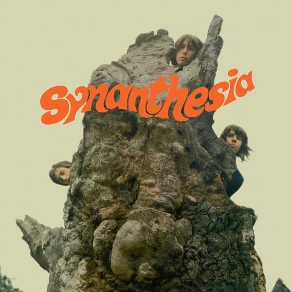 Various - Synesthesia [VINYL]