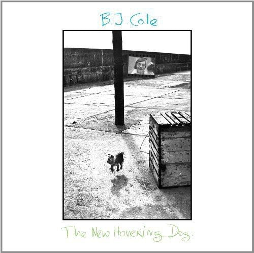 Bj Cole - The New Hovering Dog  [VINYL]