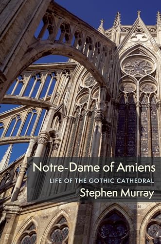 Notre-Dame of Amiens : Life of the Gothic Cathedral