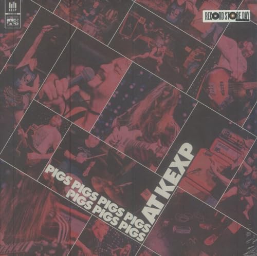 Collage of band members performing live, text reads "Pigs Pigs Pigs Pigs Pigs Pigs At KEXP".