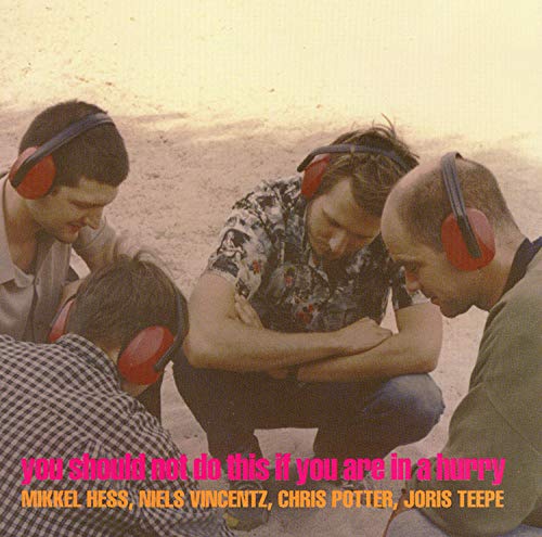 Hess/vincentz/potter/teepe - You Should Not Do This If You Are In A Hurry [CD]