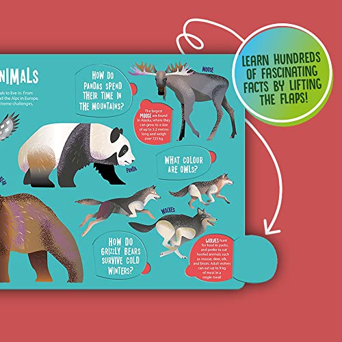 Seek and Find Animals