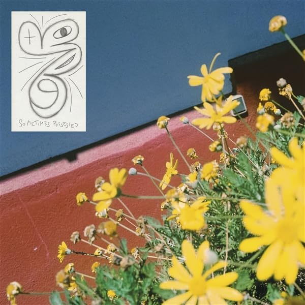 Laundromat Chicks - Sometimes Possessed [VINYL]
