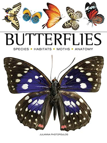 Butterflies (Mini Encyclopedia) (Mini Animals)