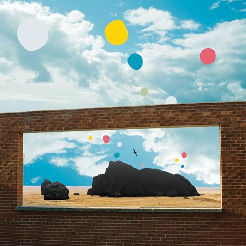 Admiral Fallow Feat. Louis Abbott & Sarah Hayes & - For The Birds [VINYL]