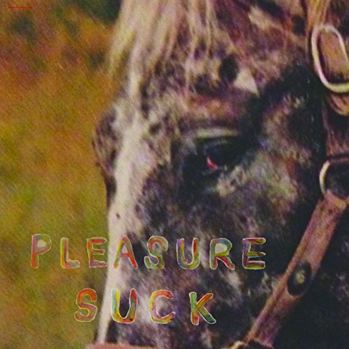 Spirit Of The Beehive - Pleasure Suck (Transparent Orange Vinyl) [VINYL]