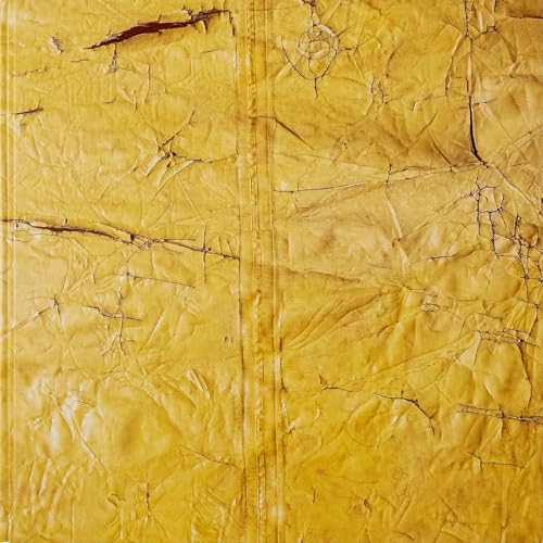 David Hammons