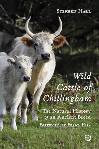 Wild Cattle of Chillingham : The Natural History of an Ancient Breed