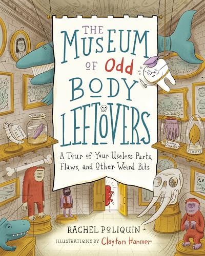 The Museum of Odd Body Leftovers: A Tour of Your Useless Parts