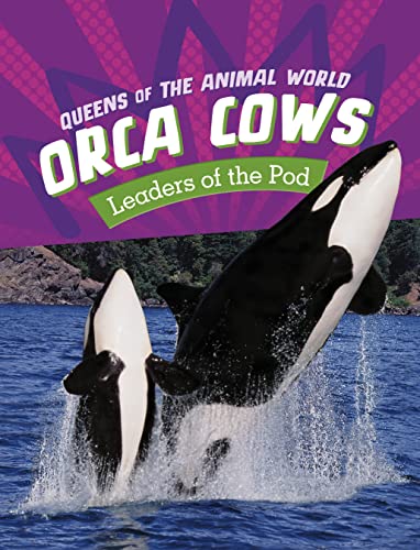 Orca Cows: Leaders of the Pod (Queens of the Animal World)