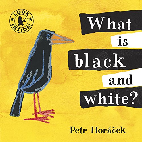 What Is Black and White?: 1