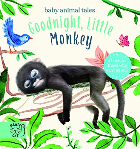 Goodnight, Little Monkey : A book for those who can’t sit still