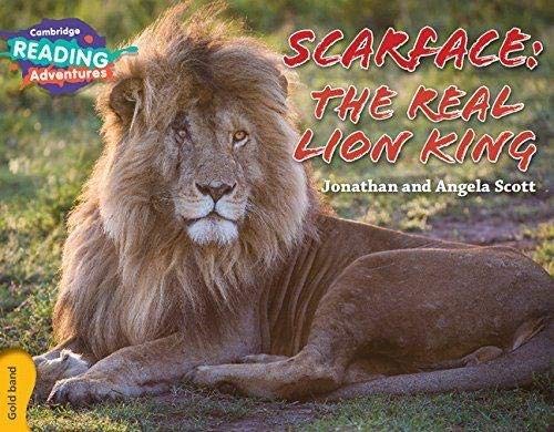 Scarface: The Real Lion King Gold Band (Cambridge Reading Adventures)
